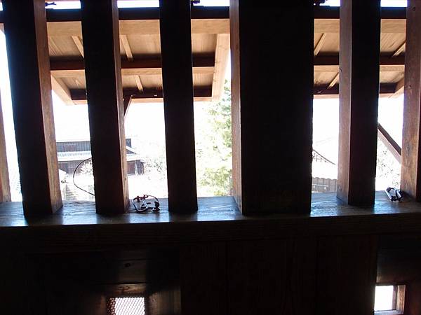 P3118414.JPG P3118414.JPG