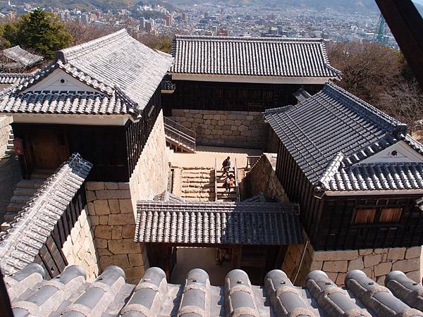 P3118439.JPG P3118439.JPG