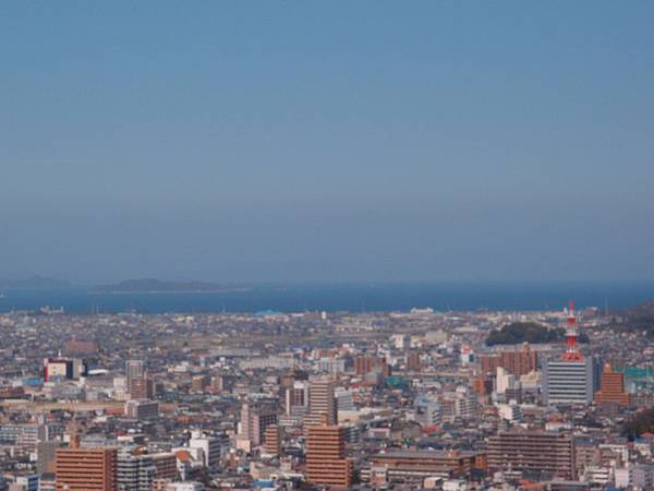 P3118457.JPG P3118457.JPG