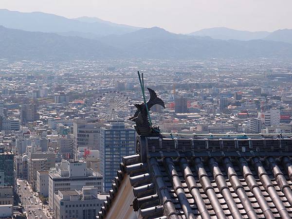 P3118470.JPG P3118470.JPG