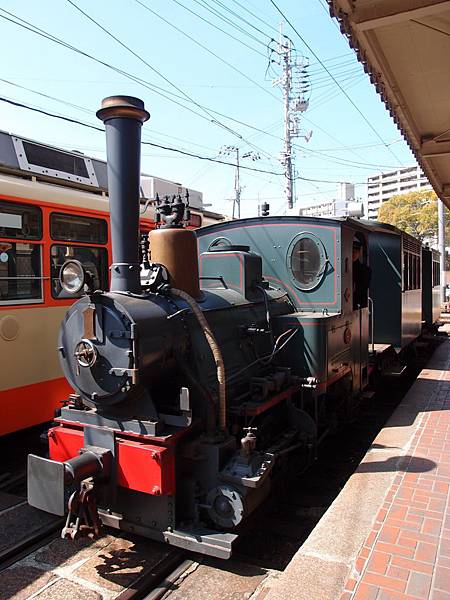 P3118503.JPG P3118503.JPG