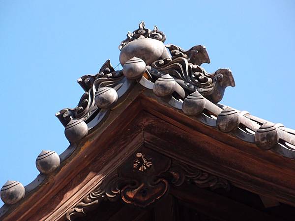 P3118535.JPG P3118535.JPG