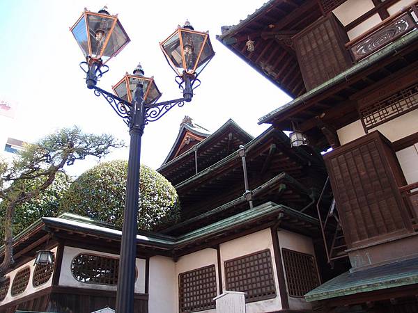 P3118541.JPG P3118541.JPG