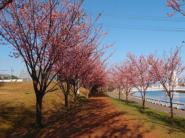 P3128586.JPG P3128586.JPG