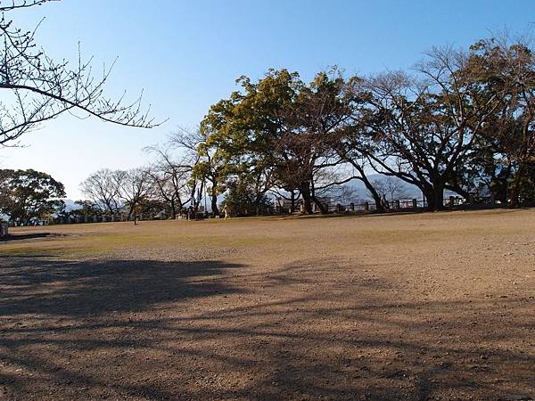 P3128595.JPG P3128595.JPG