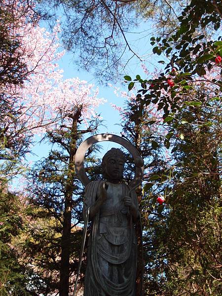 P3128632.JPG P3128632.JPG