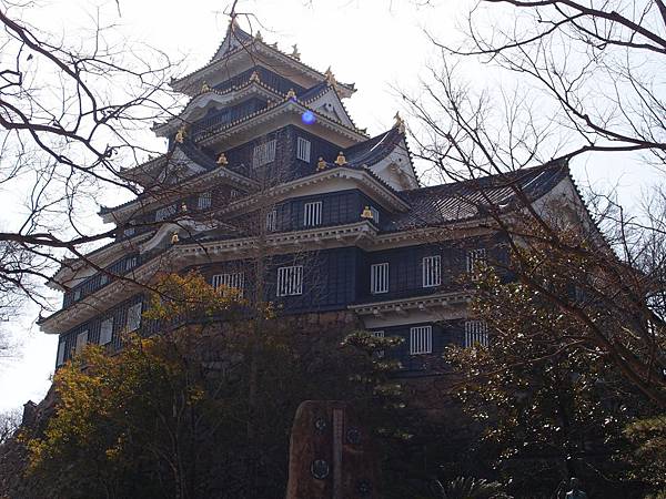 P3229050.JPG P3229050.JPG