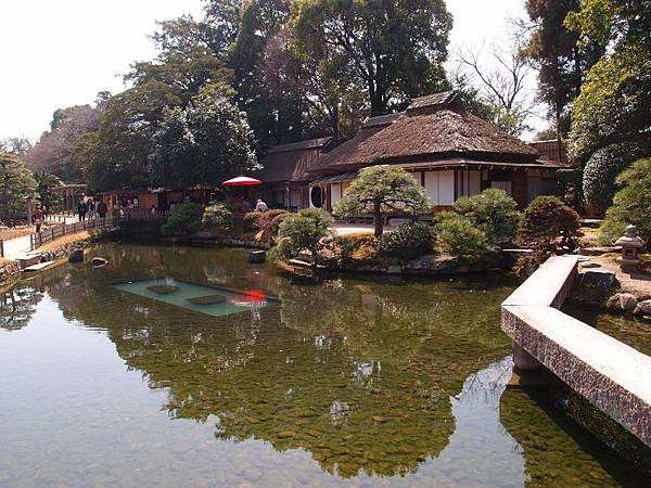 P3229115.JPG P3229115.JPG