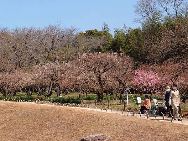 P3229139.JPG P3229139.JPG