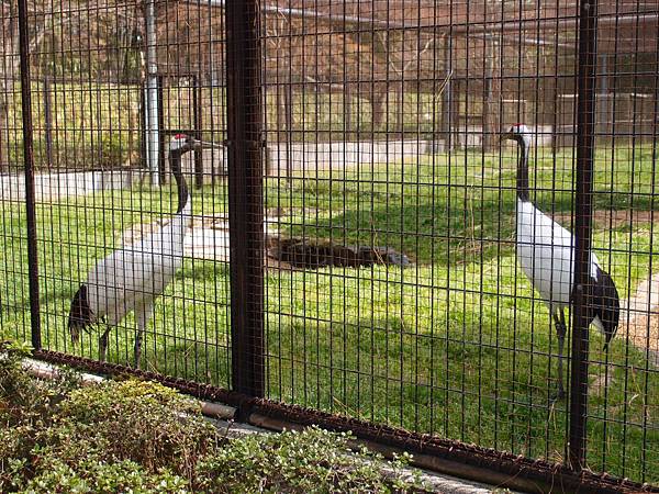 P3229211.JPG P3229211.JPG