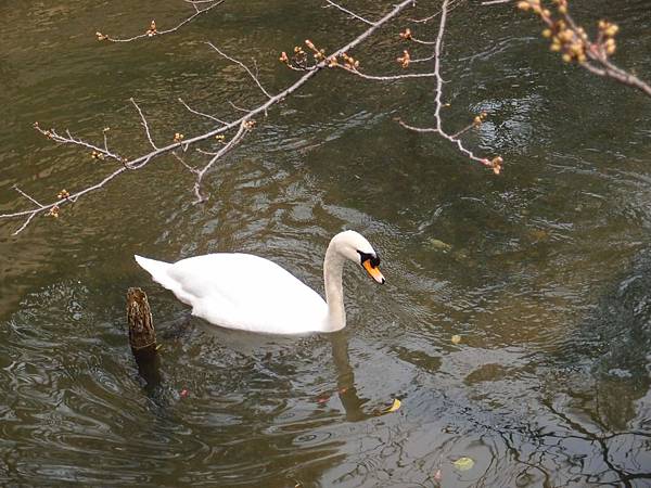 P3229261.JPG P3229261.JPG