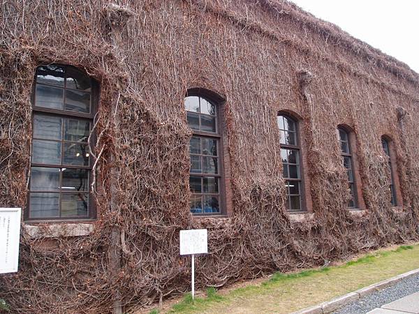 P3229308.JPG P3229308.JPG