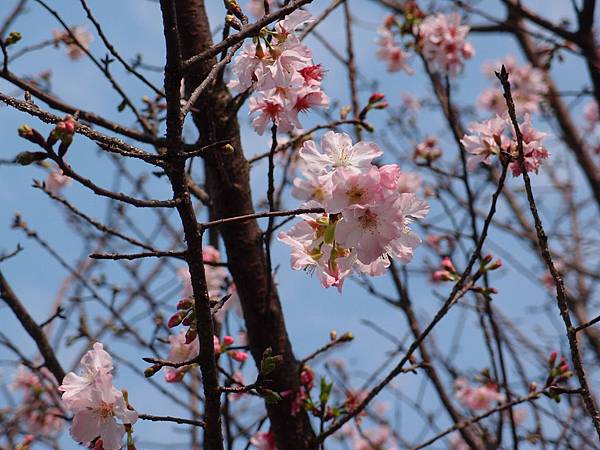 P3178748.JPG P3178748.JPG