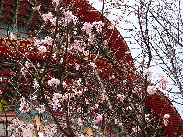 P3178779.JPG P3178779.JPG