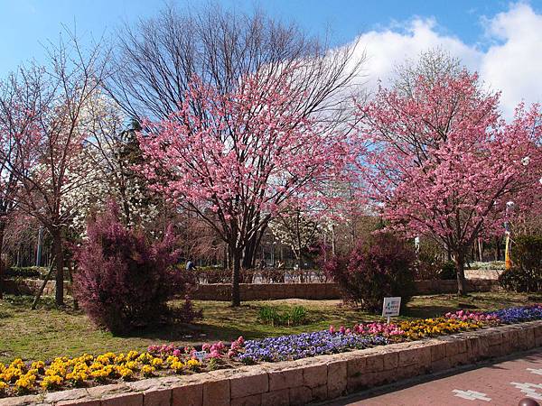 P3218891.JPG P3218891.JPG