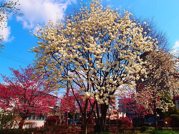 P3218895.JPG P3218895.JPG