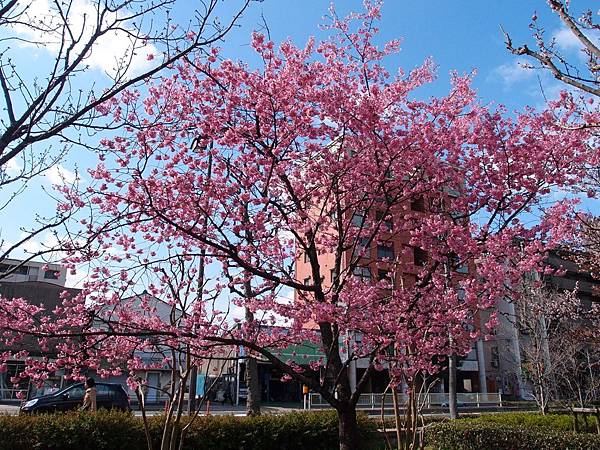 P3218922.JPG P3218922.JPG