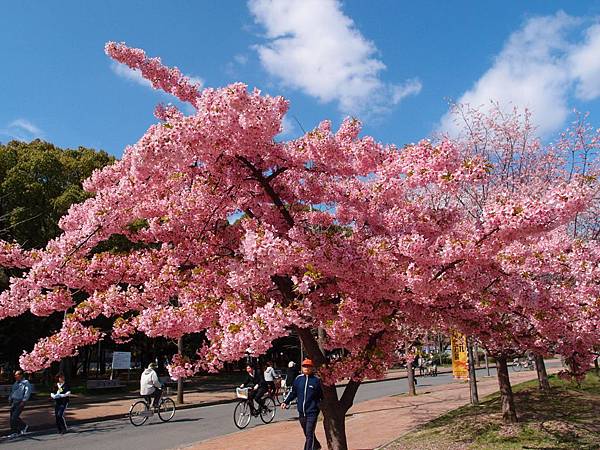 P3218953.JPG P3218953.JPG