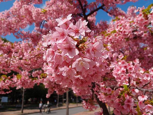 P3218954.JPG P3218954.JPG