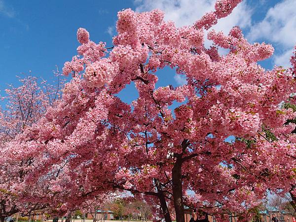 P3218960.JPG P3218960.JPG