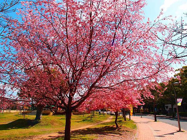 P3218968.JPG P3218968.JPG