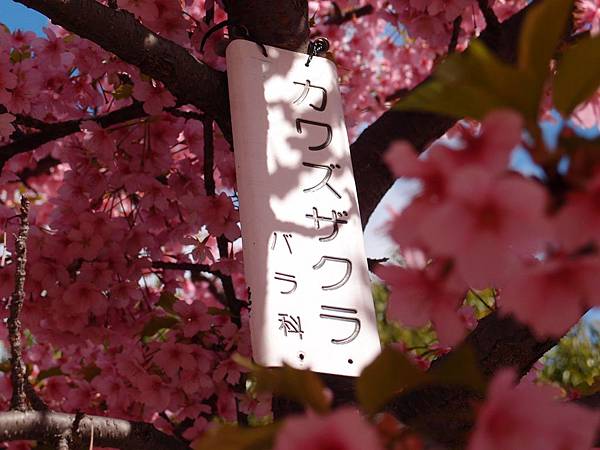 P3218962.JPG P3218962.JPG