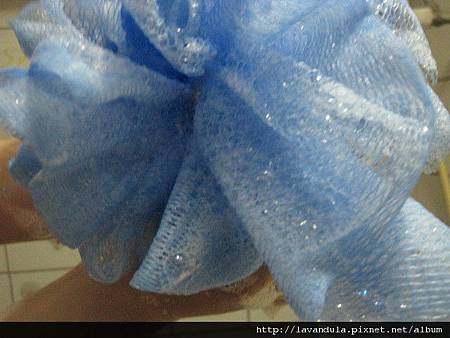 IMG_2438.JPG IMG_2438.JPG