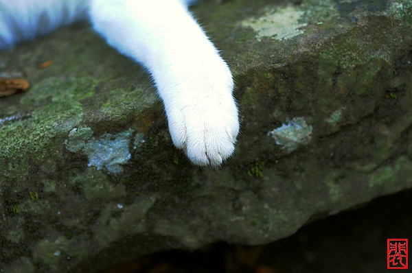 DSC_0075.JPG DSC_0075.JPG
