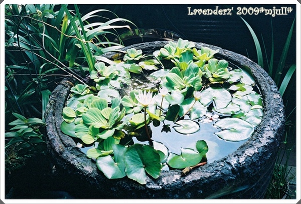 20090501
