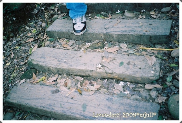 20090501