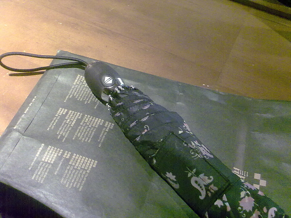 20100510360.jpg