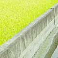 IMAGE_3.jpg IMAGE_3.jpg