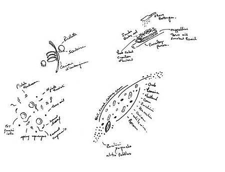 IMAGE_3.jpg IMAGE_3.jpg