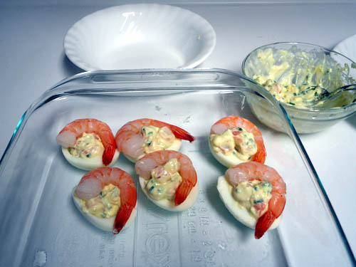 step08.jpg step08.jpg