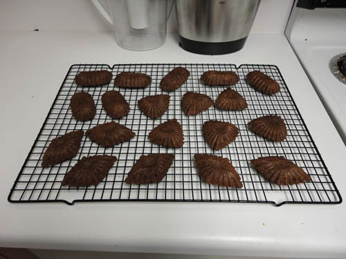 step05.jpg step05.jpg