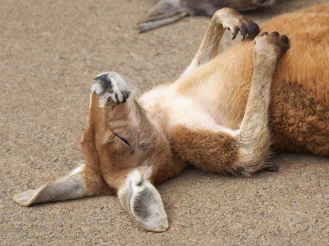 20120419-00023470-r25-001-1-view-2