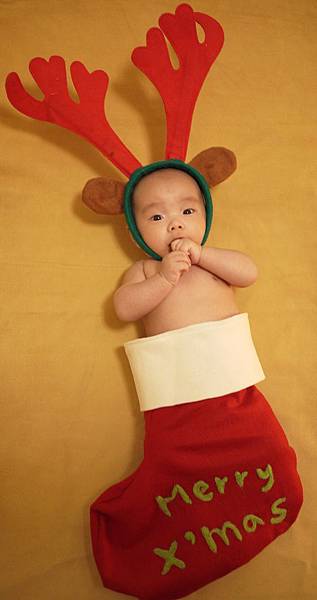 layoo聖誕下午茶