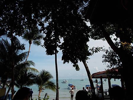 DSCN1120.JPG DSCN1120.JPG