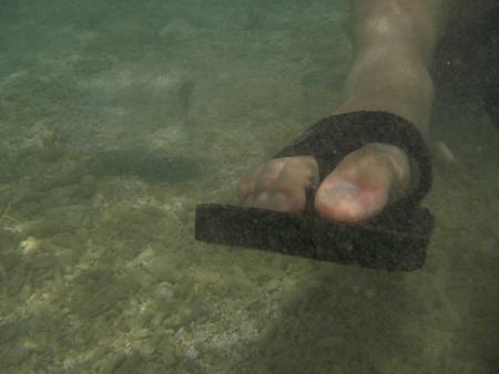 DSCN1144.JPG DSCN1144.JPG