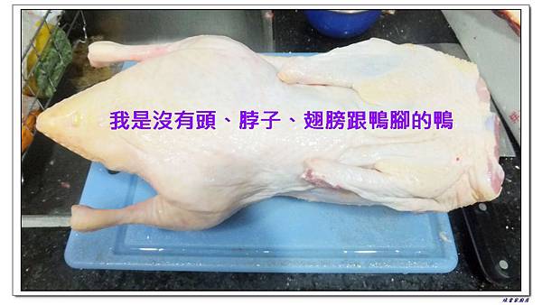 我是全鴨.JPG