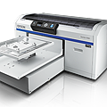 Epson F2000