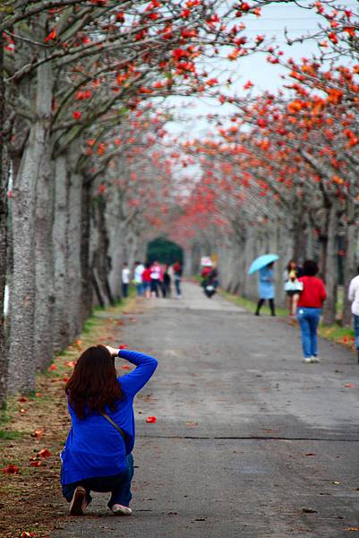 IMG_0869.jpg IMG_0869.jpg