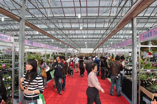 IMG_0299.jpg IMG_0299.jpg