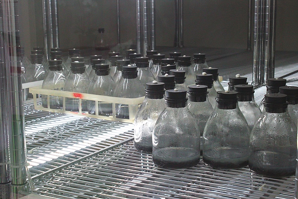 IMG_0342.jpg IMG_0342.jpg