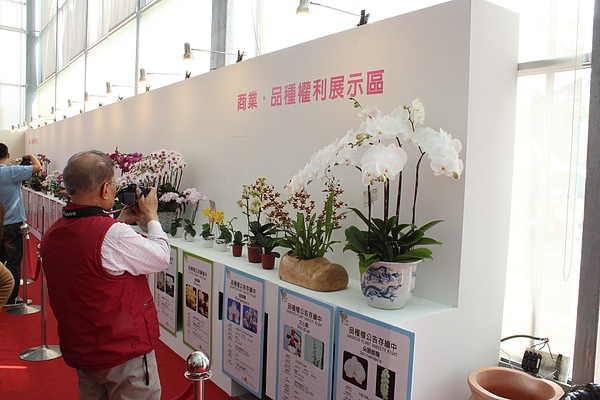 IMG_0291.jpg IMG_0291.jpg