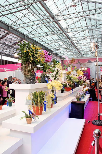 IMG_0290.jpg IMG_0290.jpg