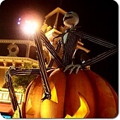 香港disney 香港disney