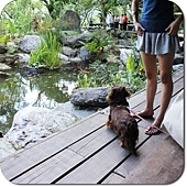 花蓮月盧 花蓮月盧