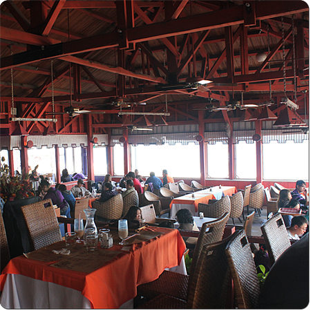 花蓮原野牧場03 花蓮原野牧場03