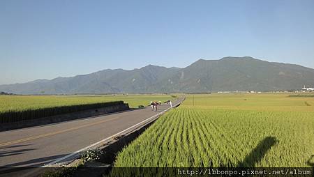 臺東關山池上 臺東關山池上
